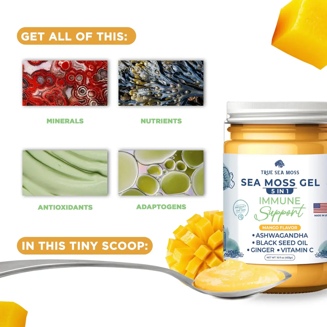 GEL À LA MOUSSE DE MER 5 en 1
