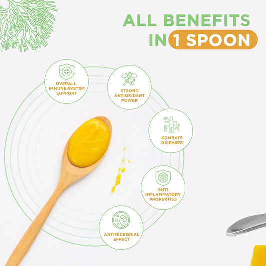 GEL À LA MOUSSE DE MER SAUVAGE (Originale)