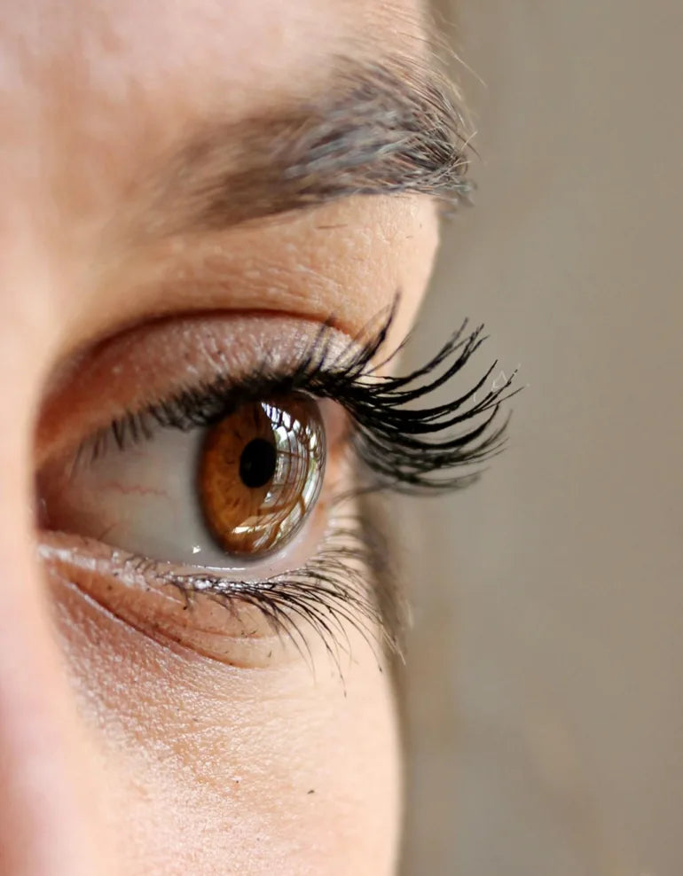 Mein Wimpernserum